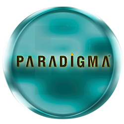 Paradigma Strateji Paradigma Strateji