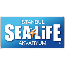 Istanbul SeaLie Akvaryum istanbul sealife akvaryum