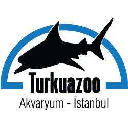 Turkuazoo Akvaryum Turkuazoo Akvaryum